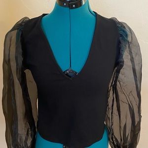 Zara Plunge Top with Organza Sleeves